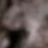 981637730221986301