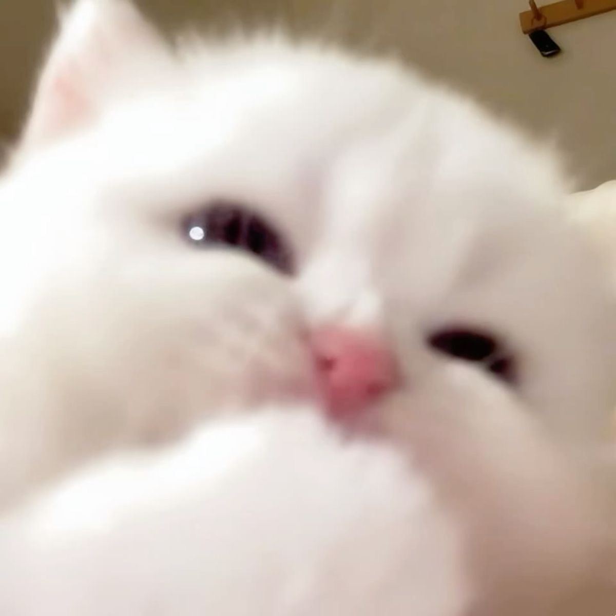 AI generated image on Tensor.Art