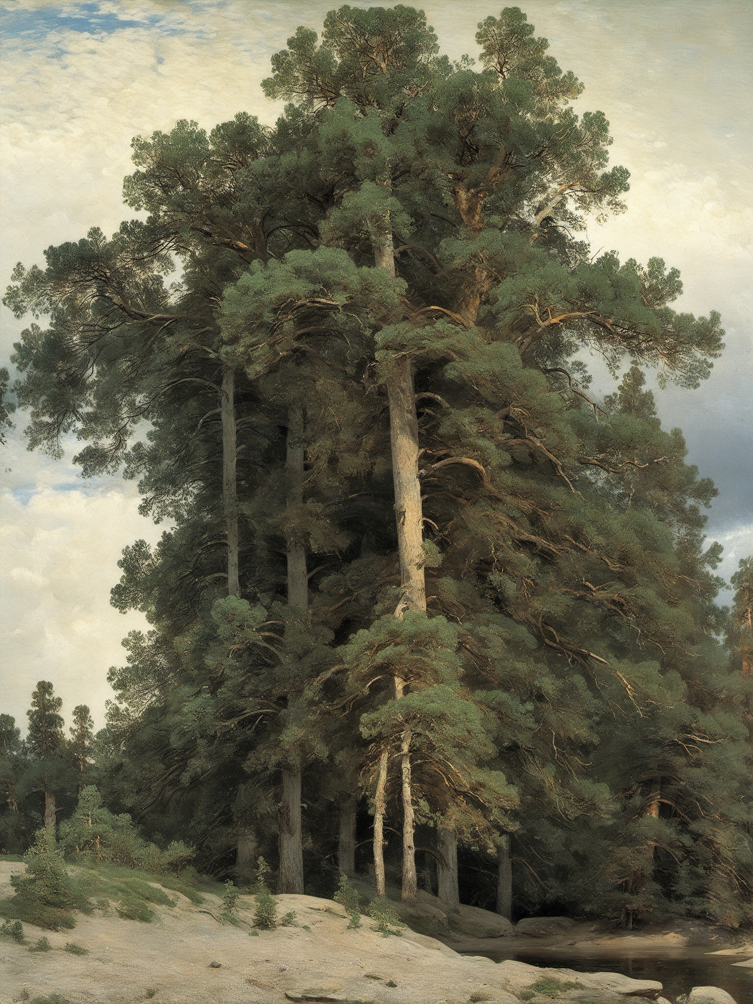 ivan Shishkin, nature, tree, rock, lake, cloud, scenery, 