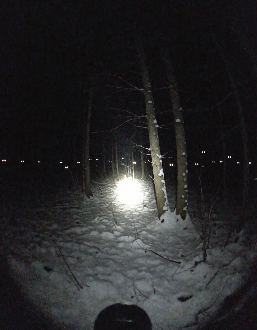 extremely grainy low quality found footage vhs style from the side with a mild fisheye lens. a creepy winter forest with a...