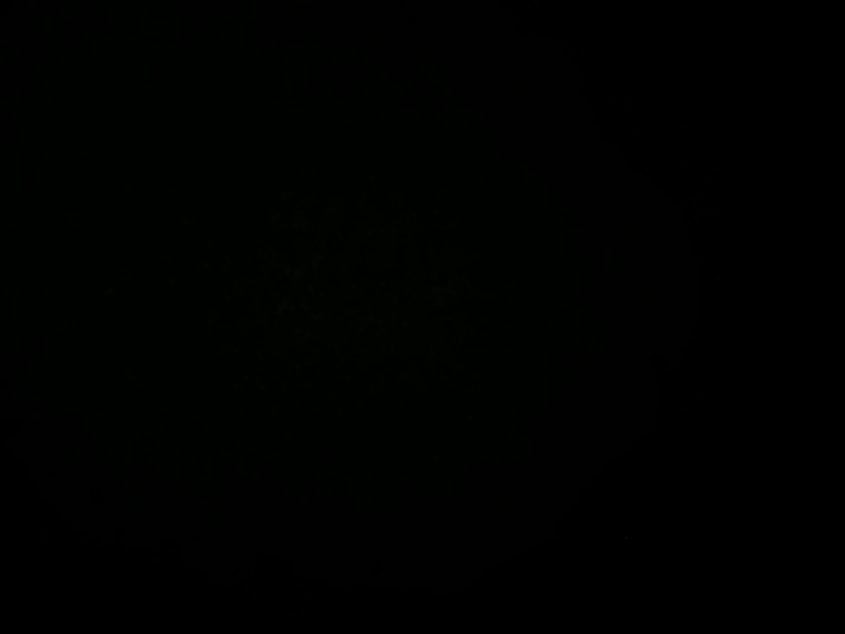 AI generated image on Tensor.Art