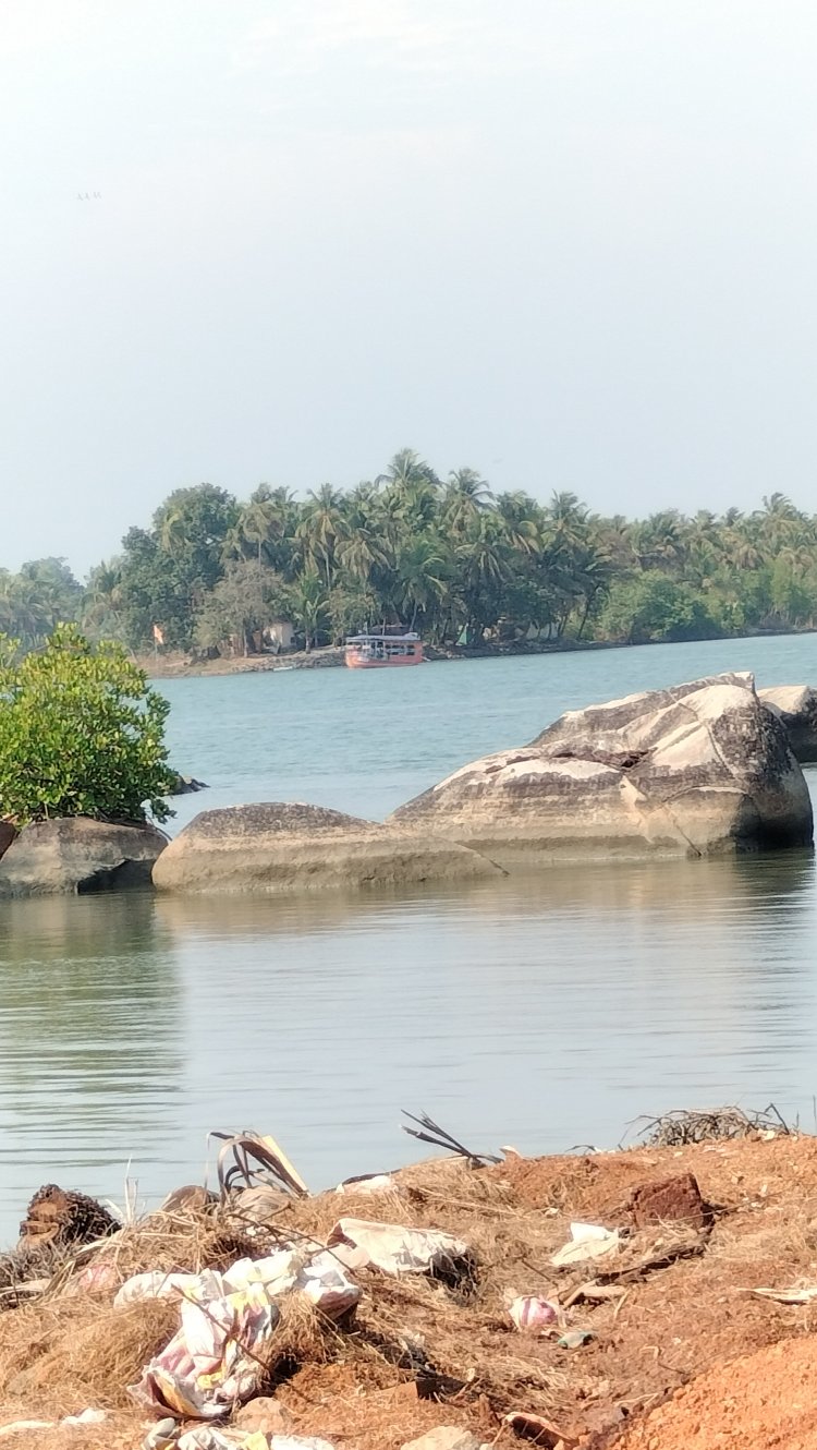 984796454256167568