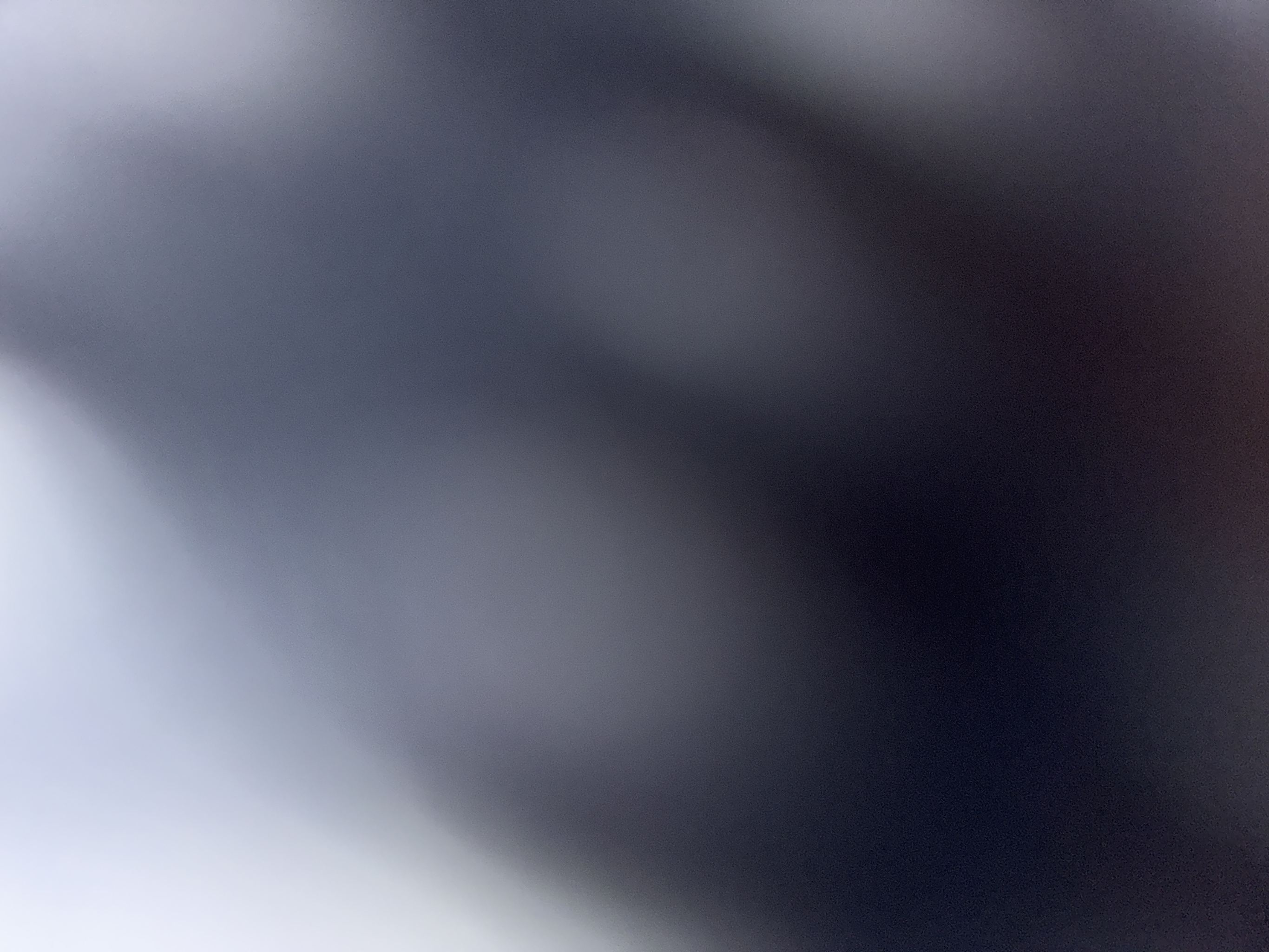 AI generated image on Tensor.Art