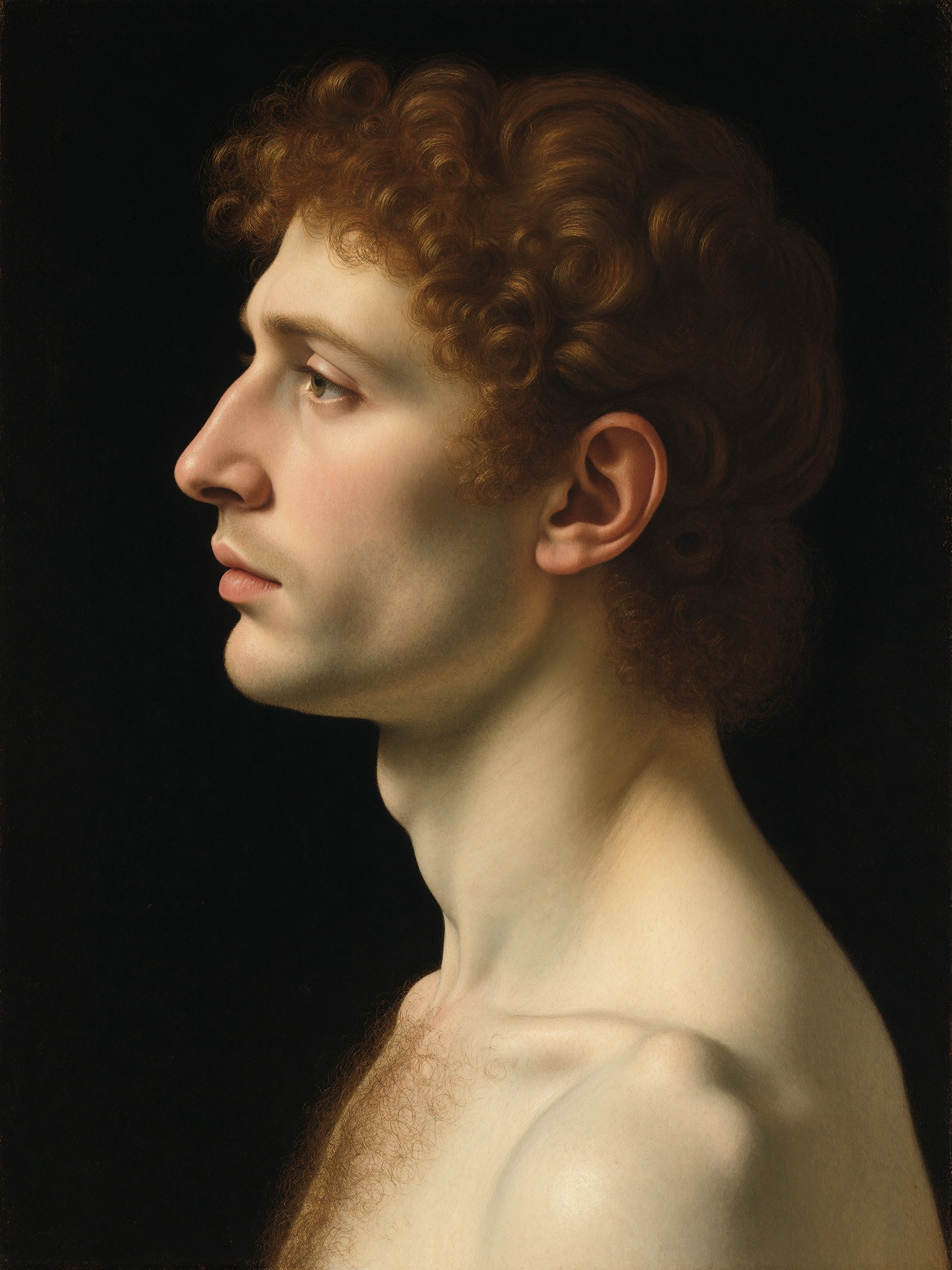 Boltraffio style,  a portrait of a young man in profile,  delicate sfumato on pale flesh on Tensor.Art
