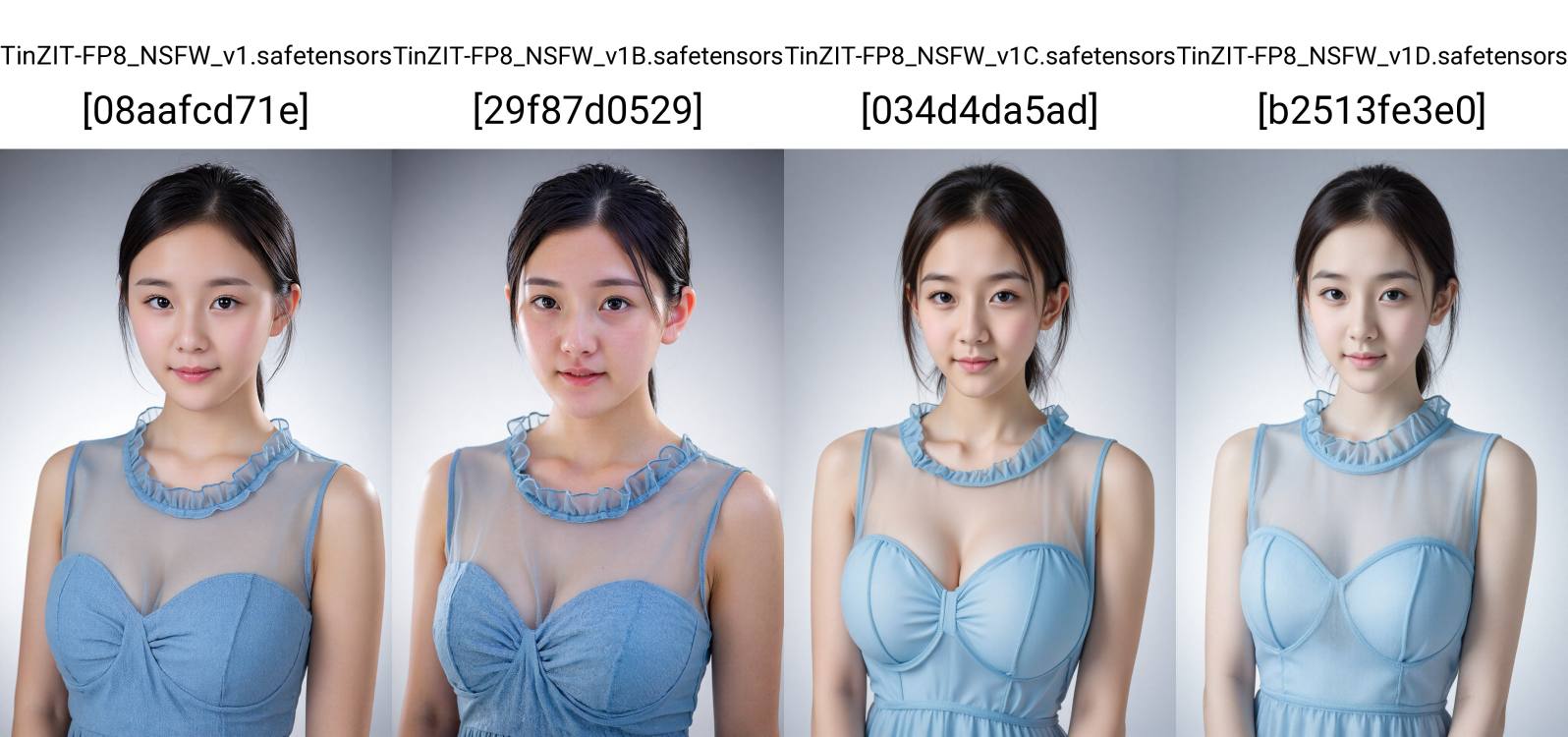 TinZIT-FP8_NSFW_v1D by 天TIN on Tensor.Art