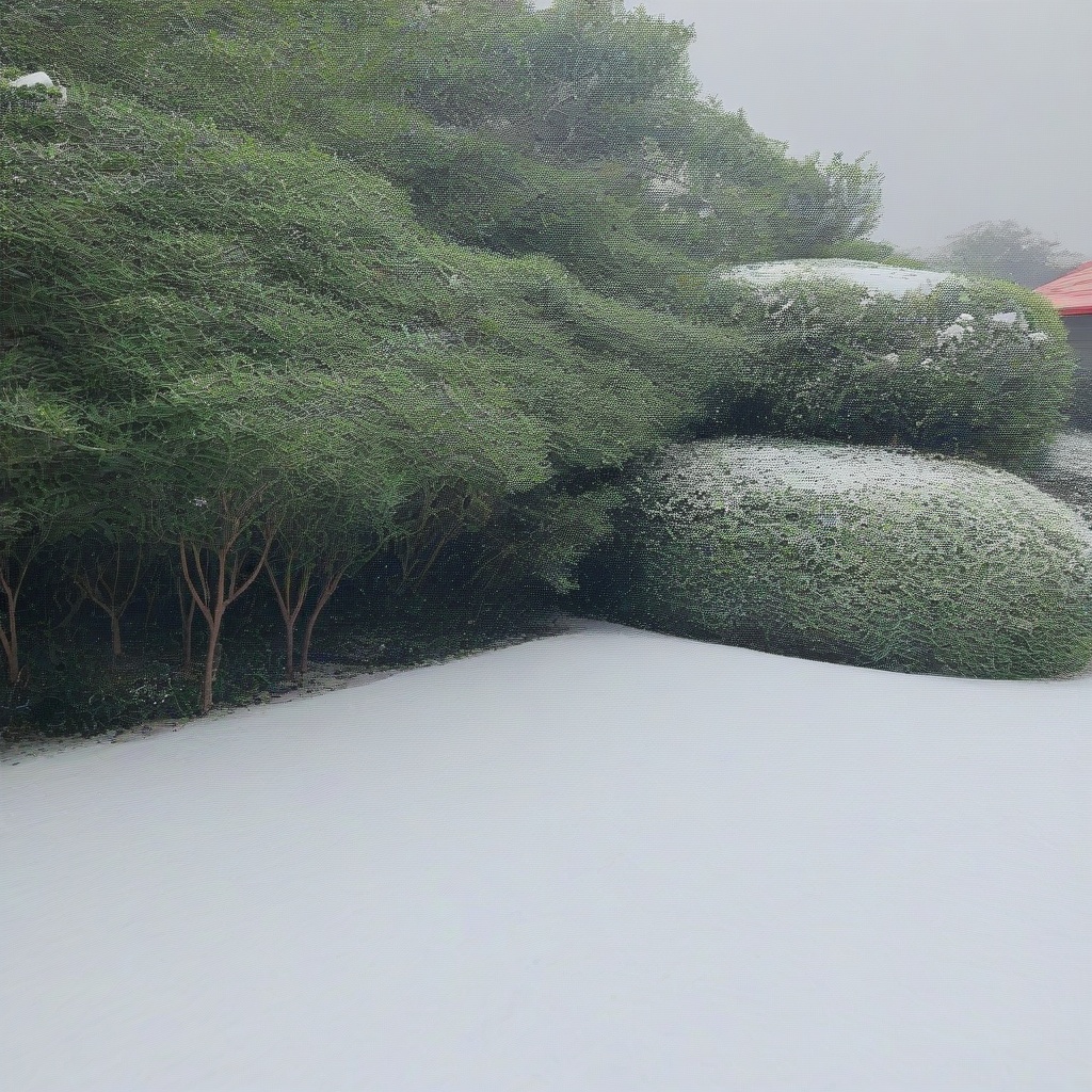 <lora:雪地:1>,snow