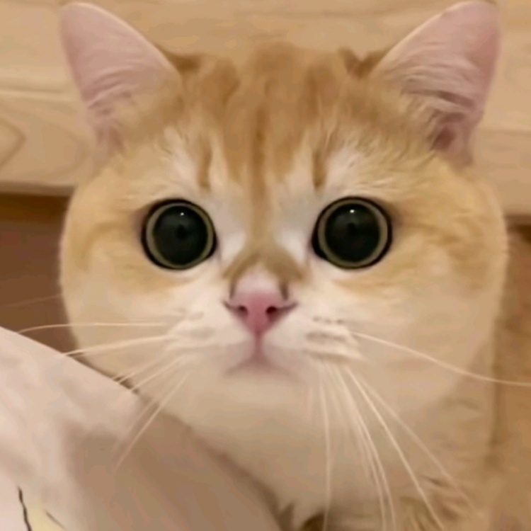 820305669430183856