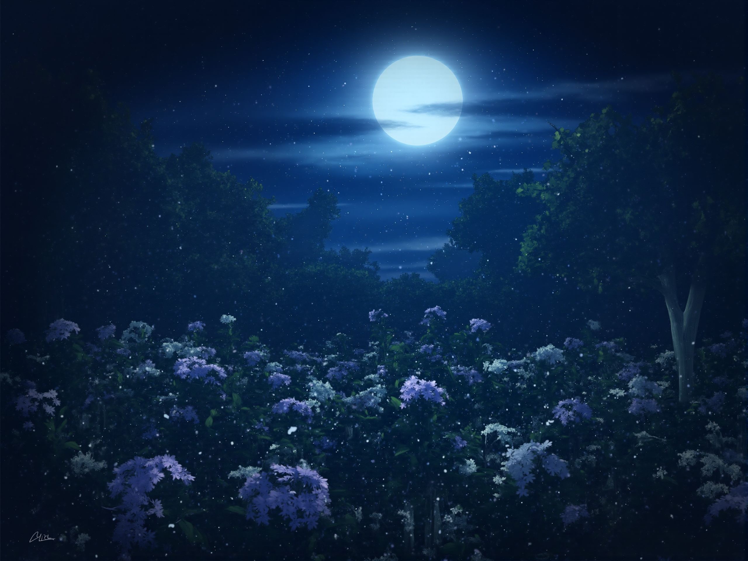 A digital painting of a serene, moonlit garden, with the moon casting a silvery glow on the flowers and foliage. The garden is filled with the scent of night-blooming flowers, and the quiet rustling of leaves in the gentle breeze creates a soothing ambiance. The illustration captures the peace and the quiet beauty of a night in the garden.<lora:S_BLACKGROUD_:1>