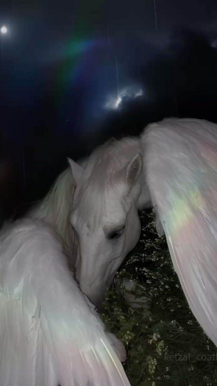 AI generated image on Tensor.Art