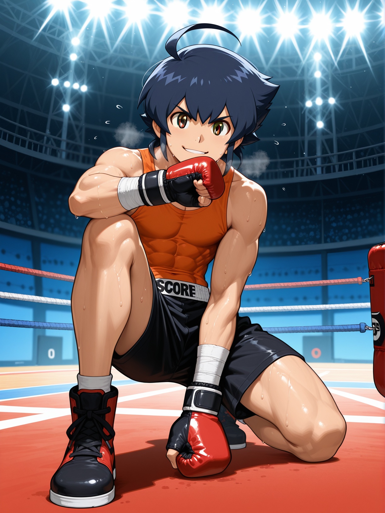 (score_9,  score_8_up),  source_anime on Tensor.Art