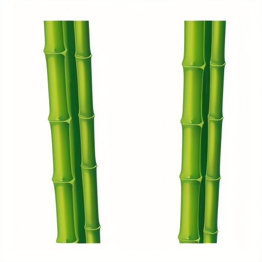 flat design style, bamboo, bamboo forest, white background,<lora:lbc_bamboo_v1.0:1>,