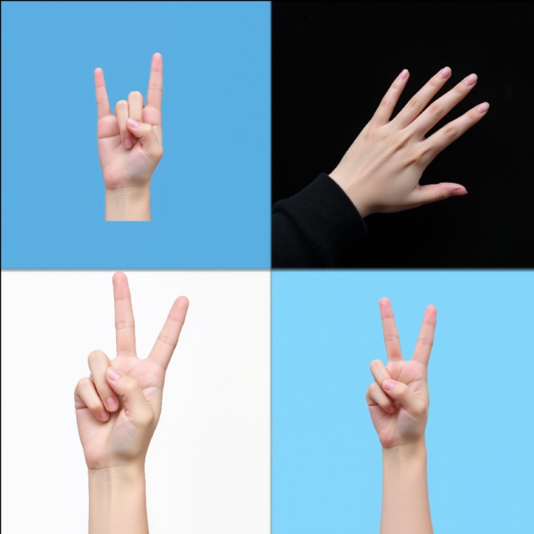 875670607830770363