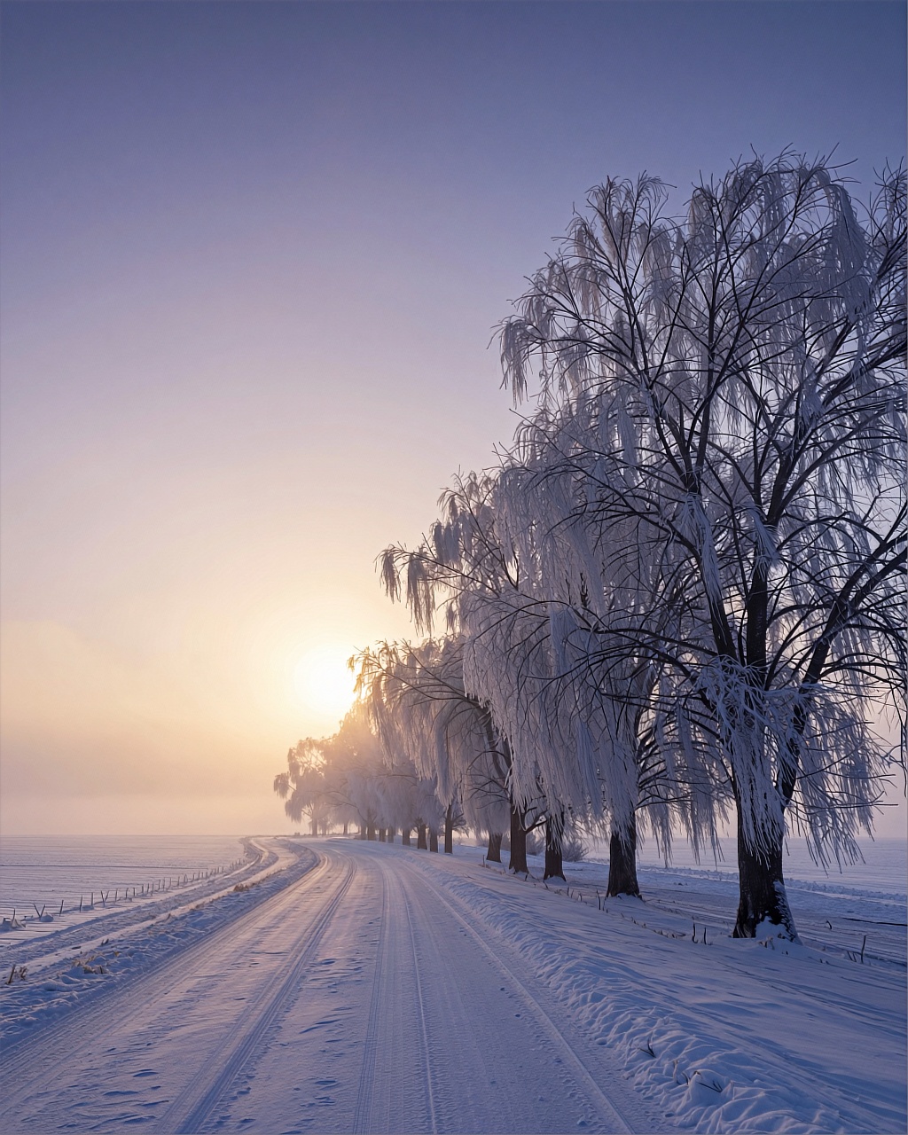 A serene winter landscape at dawn with a narrow snow-covered road curving gently to the left. The sky transitions from a d...