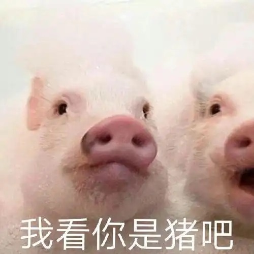 860245377742325514