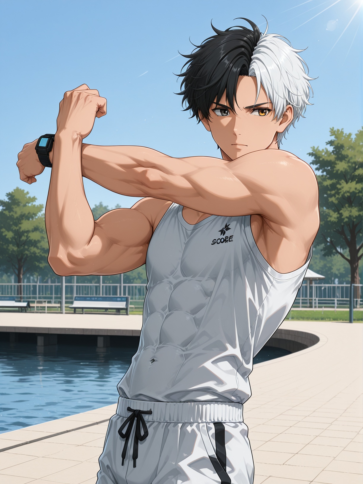 (score_9,  score_8_up),  source_anime on Tensor.Art