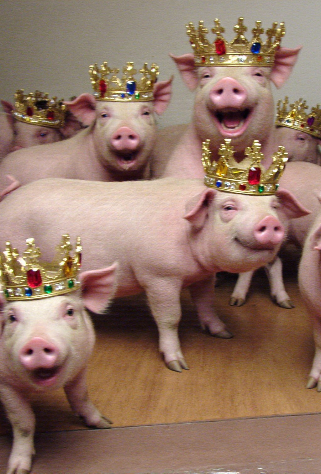 A candid,  low-fidelity digital photograph capturing a whimsical scene involving several anthropomorphic pigs in regal att...