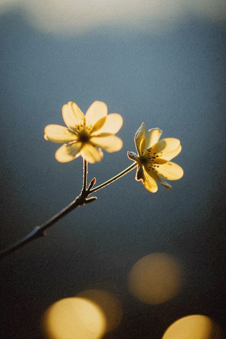 yaiwrk,  35mm film photograph,  cinematic film still on Tensor.Art