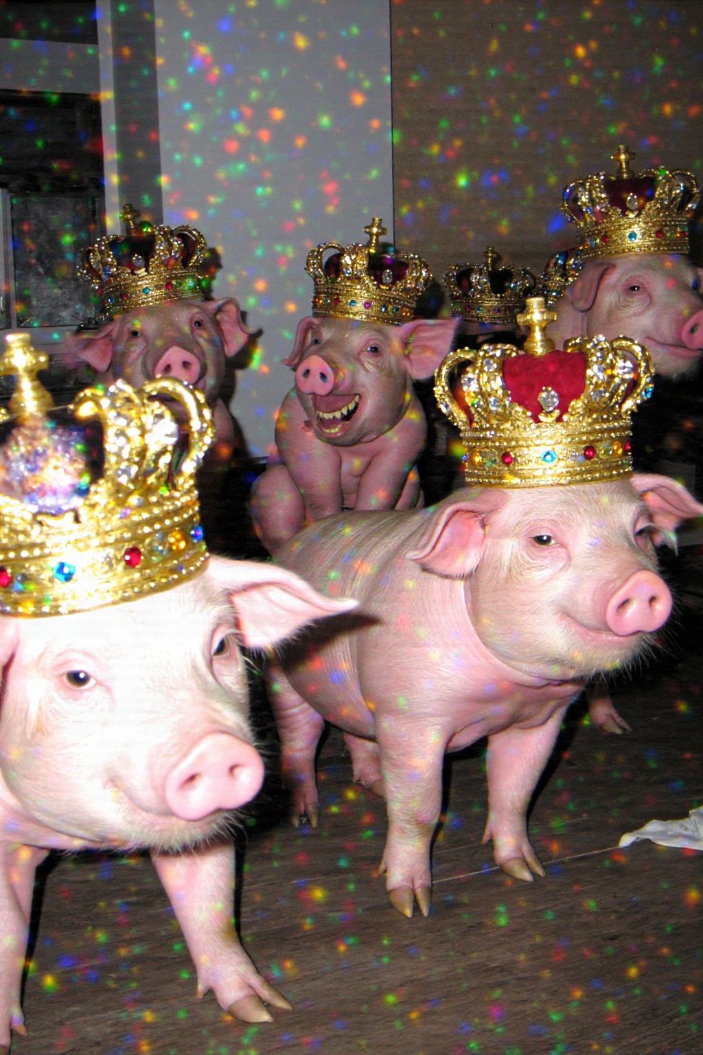 A candid,  low-fidelity digital photograph capturing a whimsical scene involving several anthropomorphic pigs in regal att...