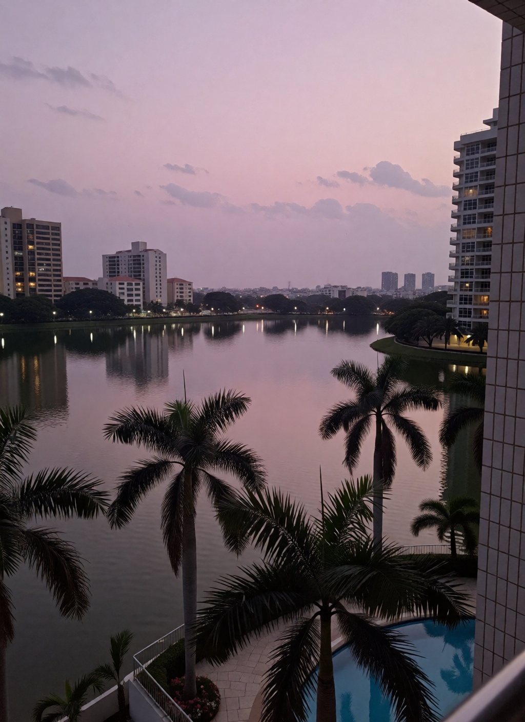 This is a serene twilight scene overlooking a calm body of water,  likely a lake or lagoon,  framed by palm trees and urba...