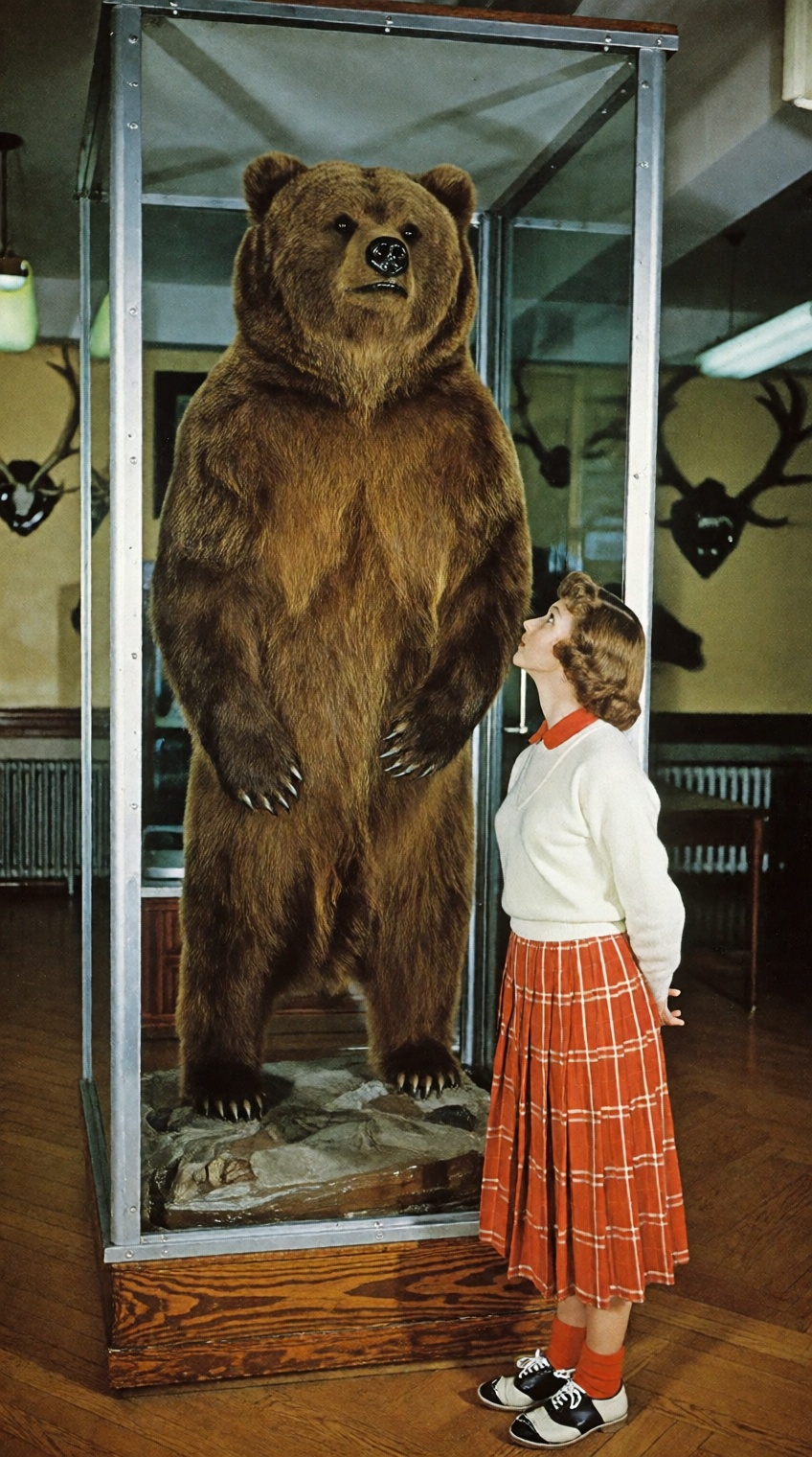 A nostalgic 1950s photograph inside a natural history museum. A young woman in retro 1950s fashion—wearing a white sweater...