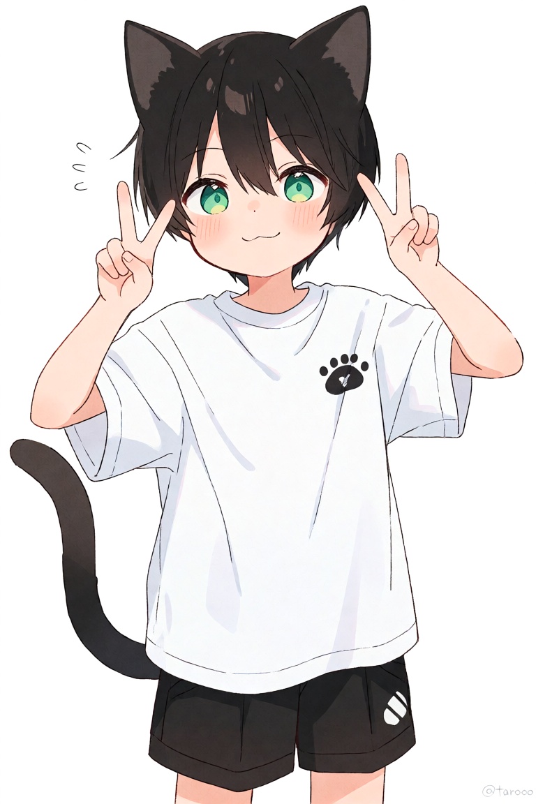 artist:tarooo,  anime style. 1boy,  young boy on Tensor.Art