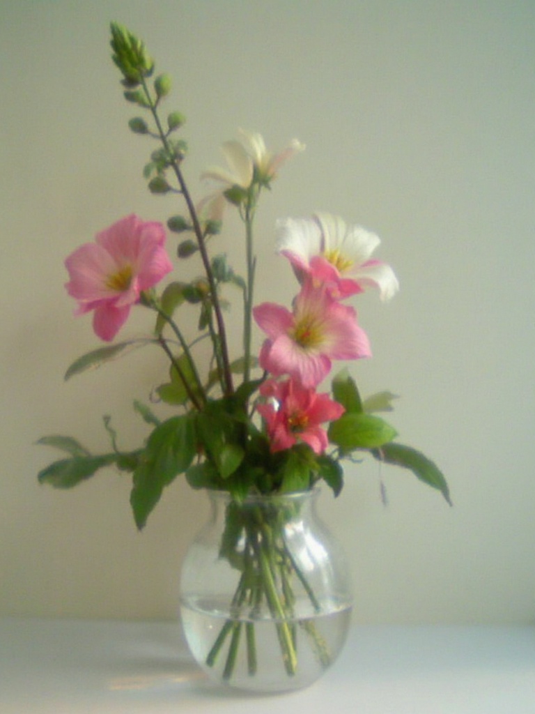 AI generated image on Tensor.Art