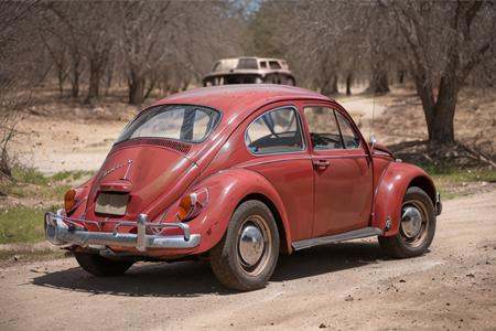 analog gloomy photo of a red Volkswagen Beetle car,  ,  back view on Tensor.Art