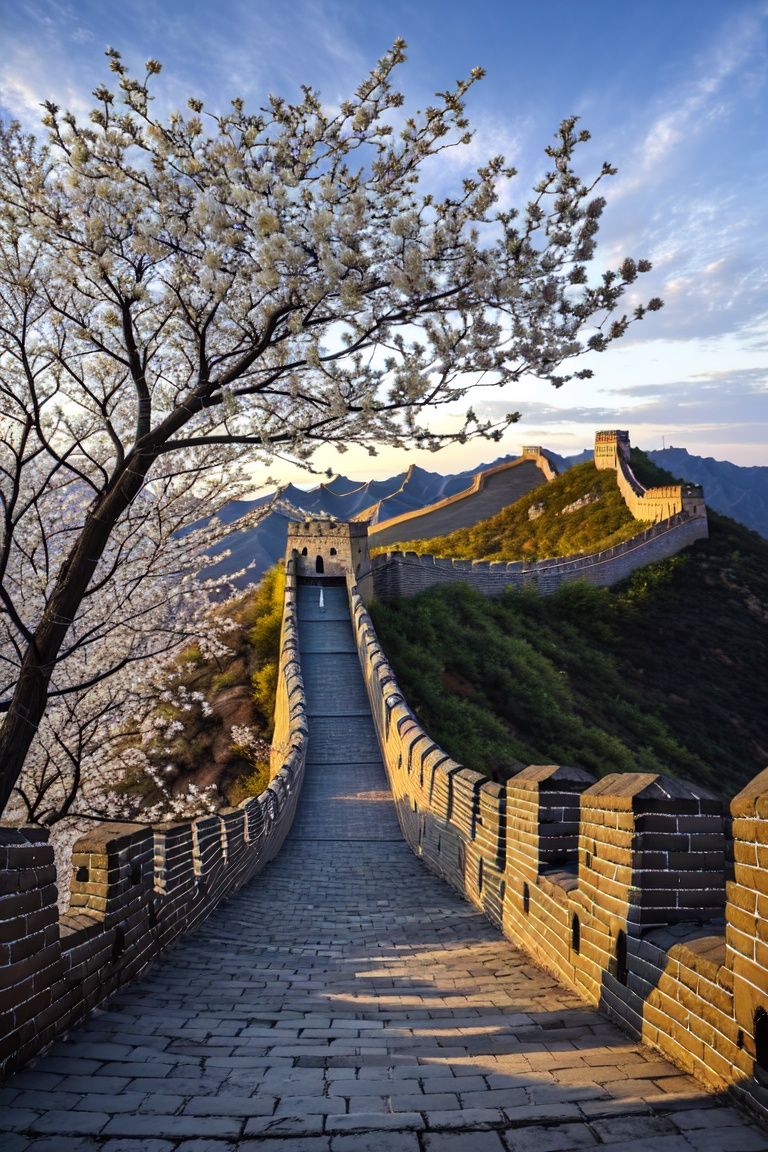 spring,the great wall,without humans,putting artificial flowers on trees, dusk, <lora:changcheng:0.7>