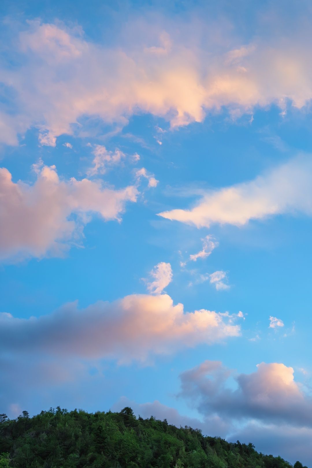 sky, cloud, nature, tree, mountain, forest, contrail, blue sky, sunset