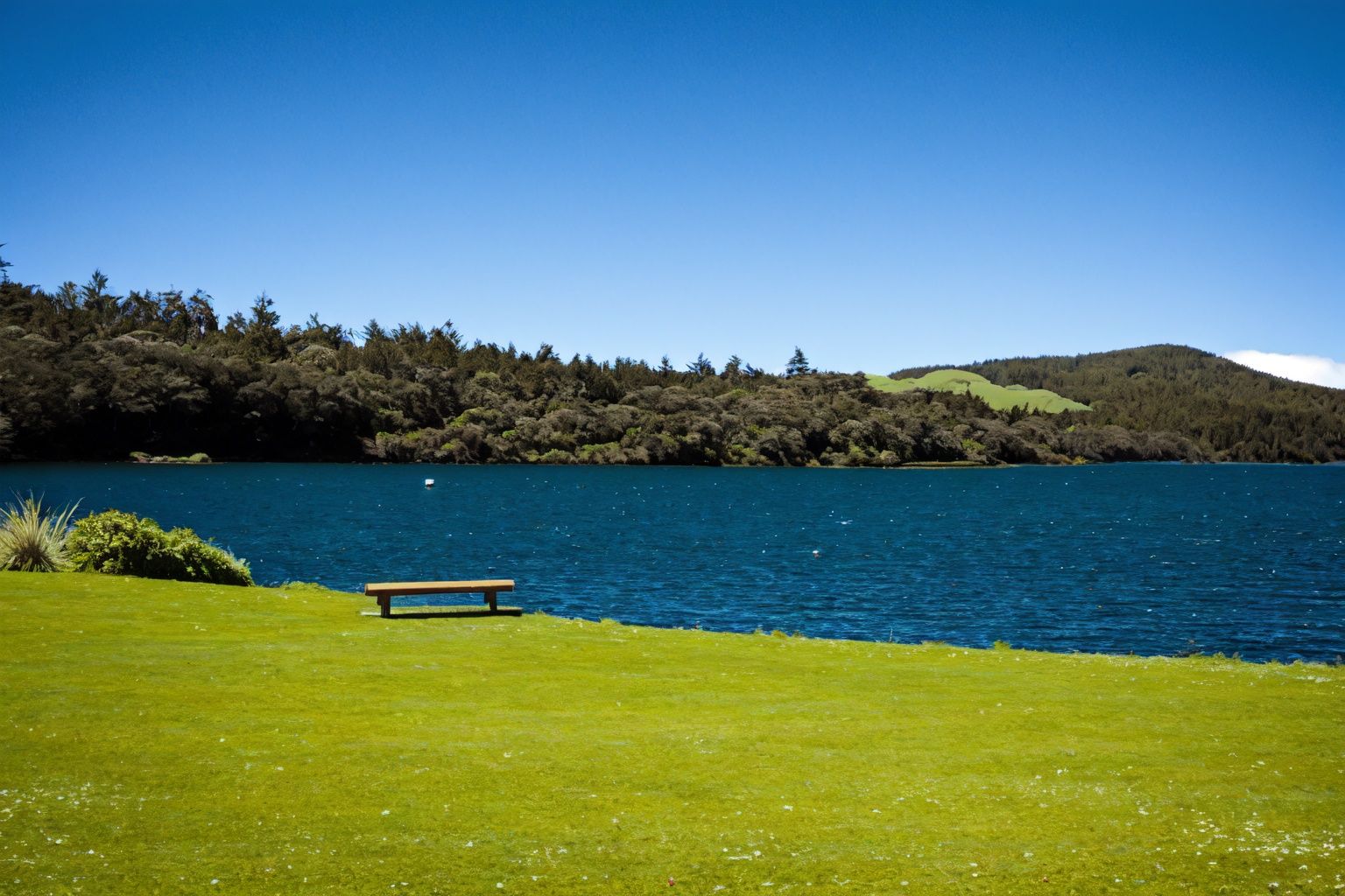 Park bench, Lake, Stewart Island