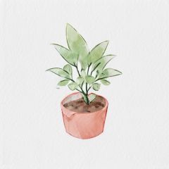 <lora:watercolor_flower:1>, a plant,