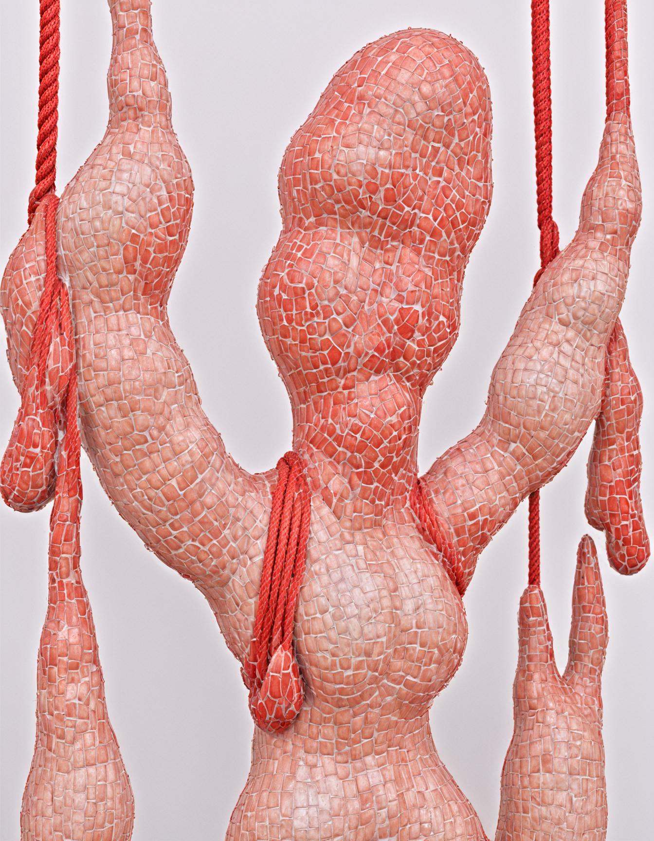 colored skin,  nude,  red rope on Tensor.Art