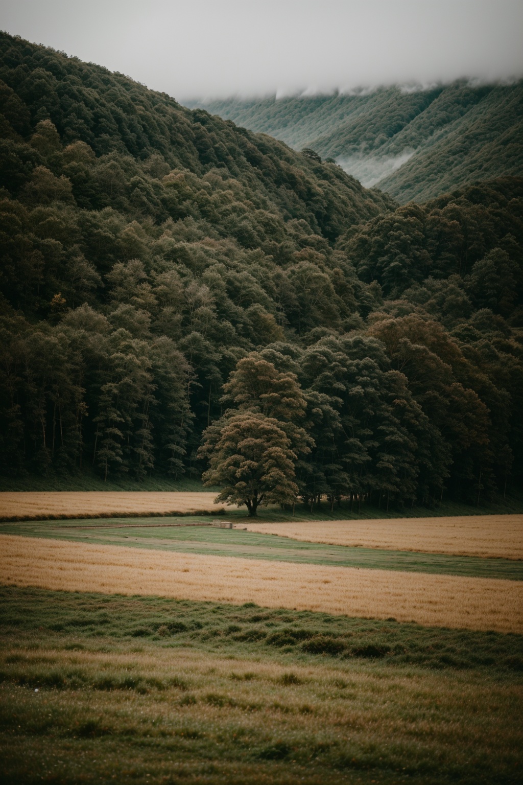 photo of landscape,  rainy weather,  8k uhd on Tensor.Art