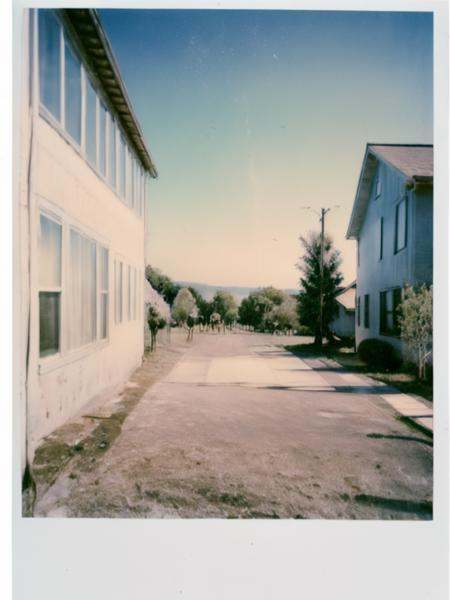 nkplr0,  polaroid,  summer on Tensor.Art