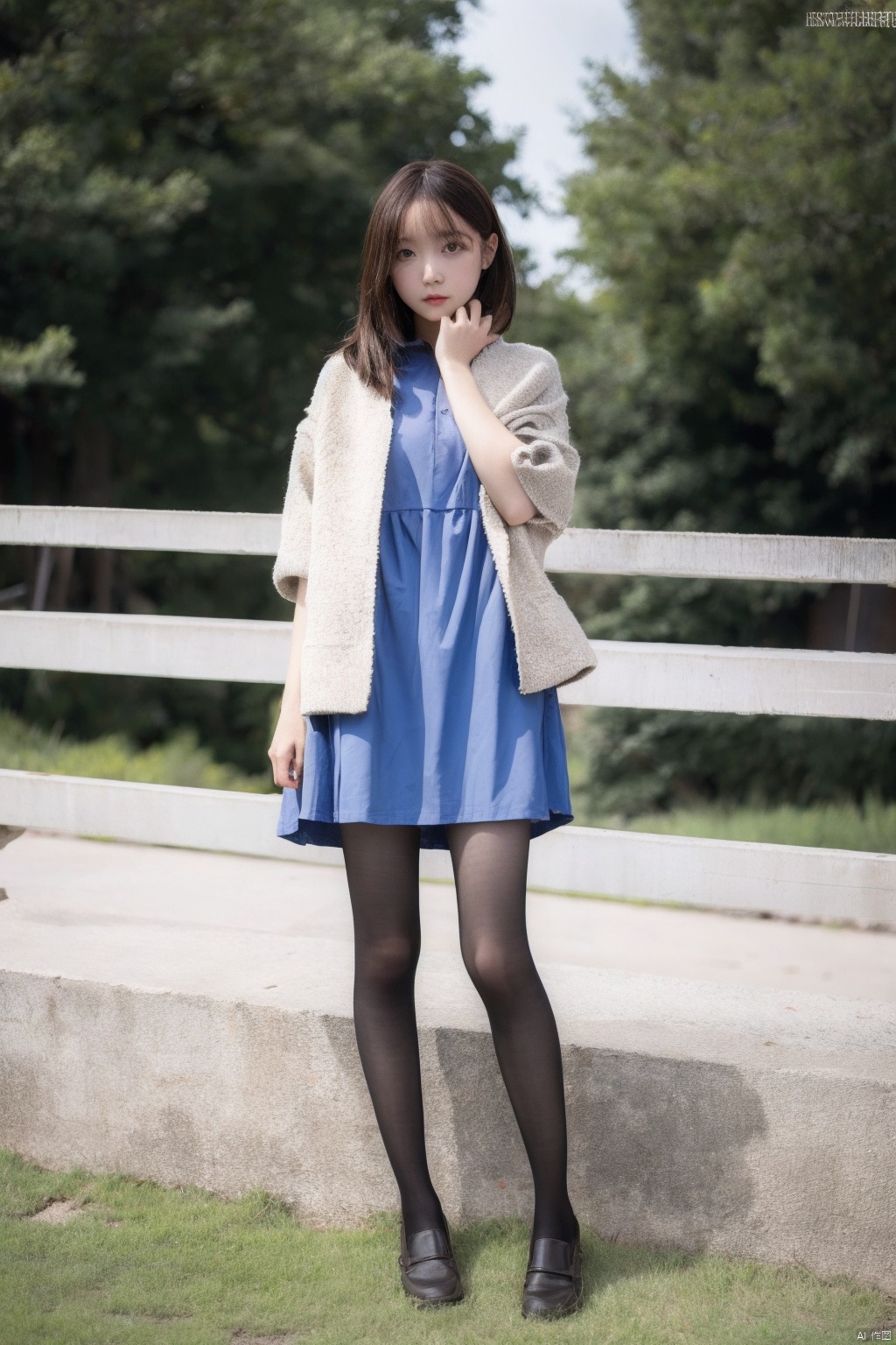  1girl,xtt, ,jacket,dress,good proportions, shapely body,good limbs,half body,outdoors, heisehui