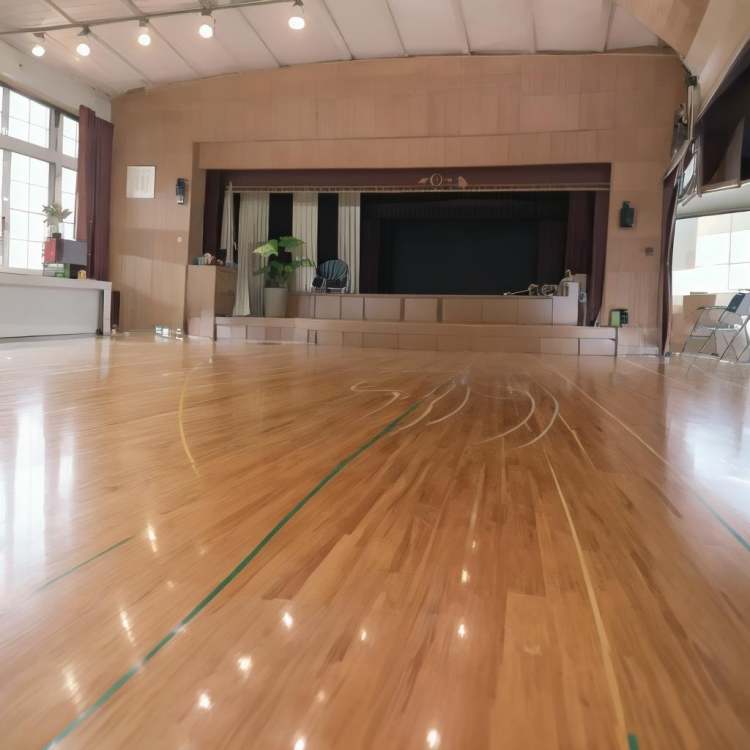 体育館Japanese school gymnasium 基础模型15 by swingwings on Tensor.Art