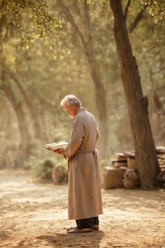 solo, 1boy, holding, standing, male focus, outdoors, tree, book, robe, old, old man