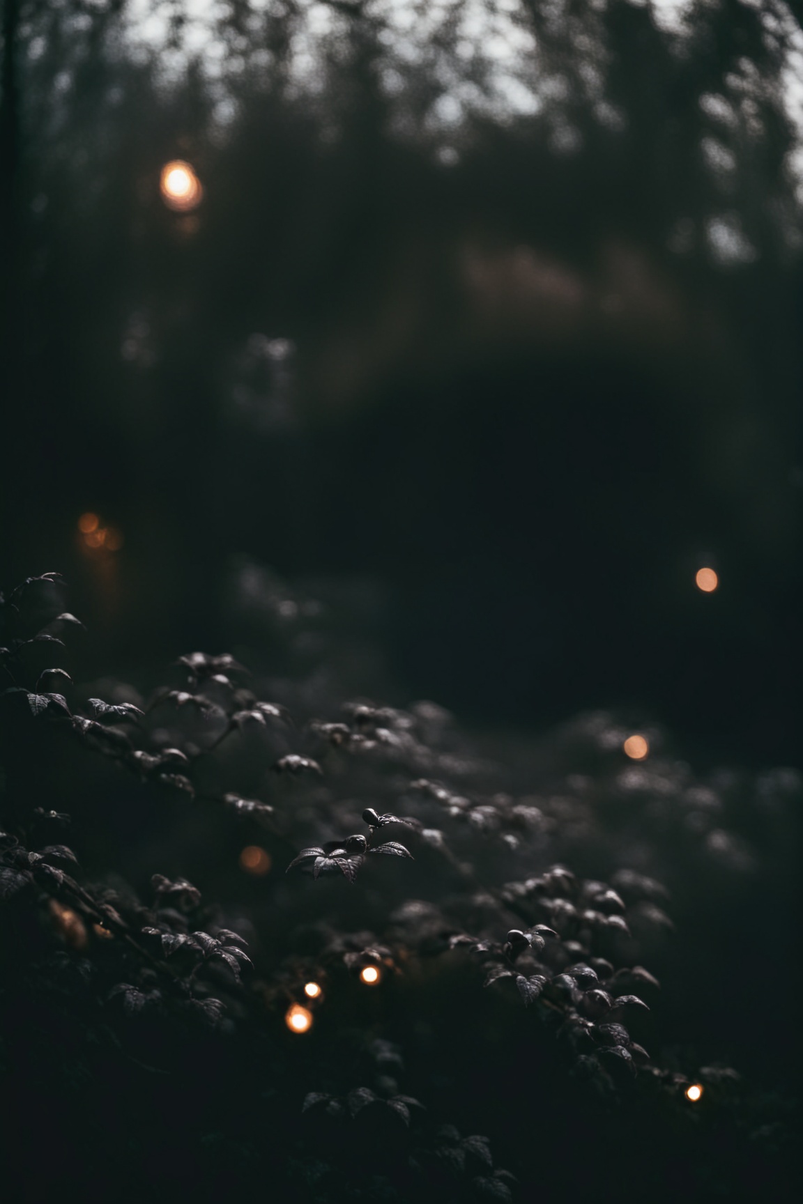 dark moody atmosphere,  dark and moody,  Film Style on Tensor.Art