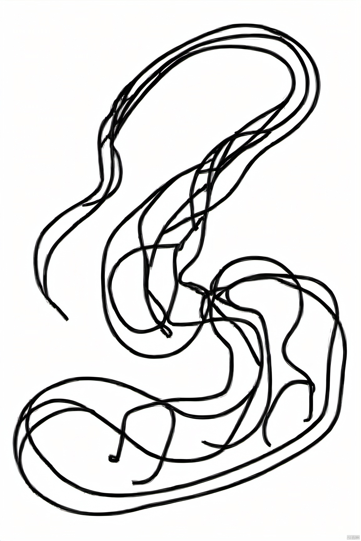  Chinese_zodiac, snake,Chinese zodiac, simple drawing, One stroke of painting, a line art, black lines, white background