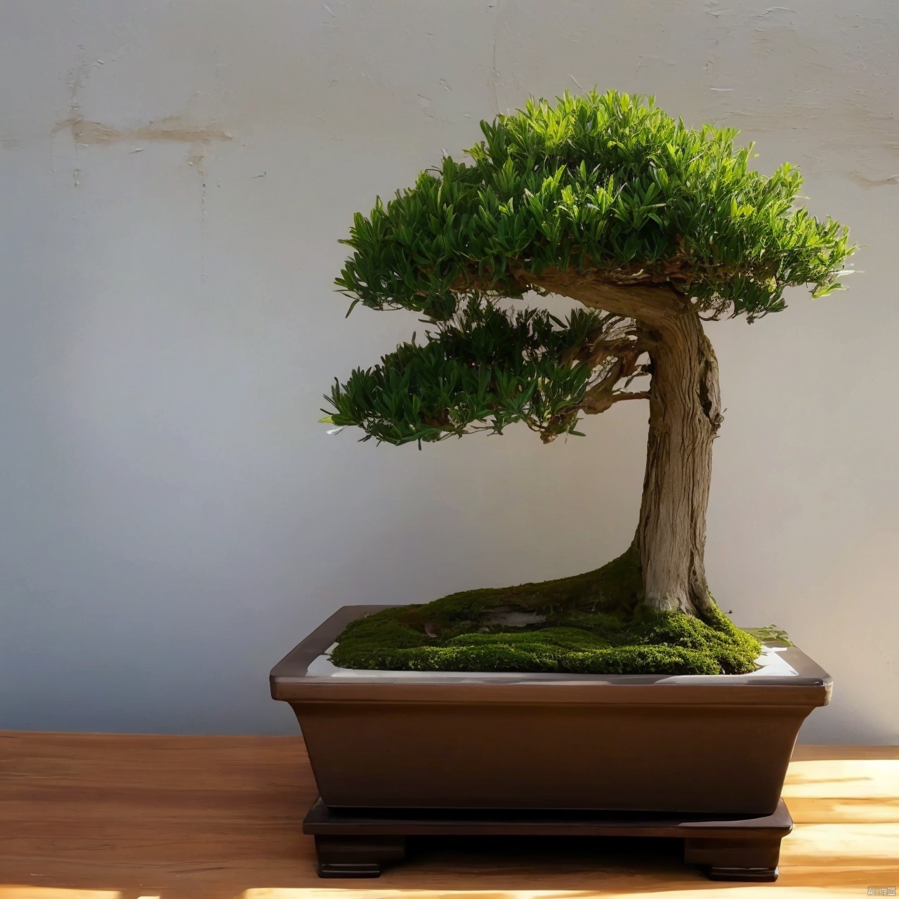 absurdres,incredibly absurdres,reality,realistic,
water,tree,no humans,traditional media,scenery,bonsai