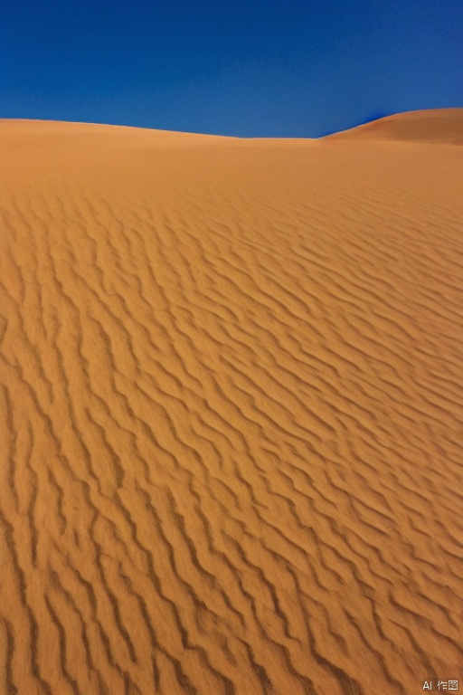 dune,