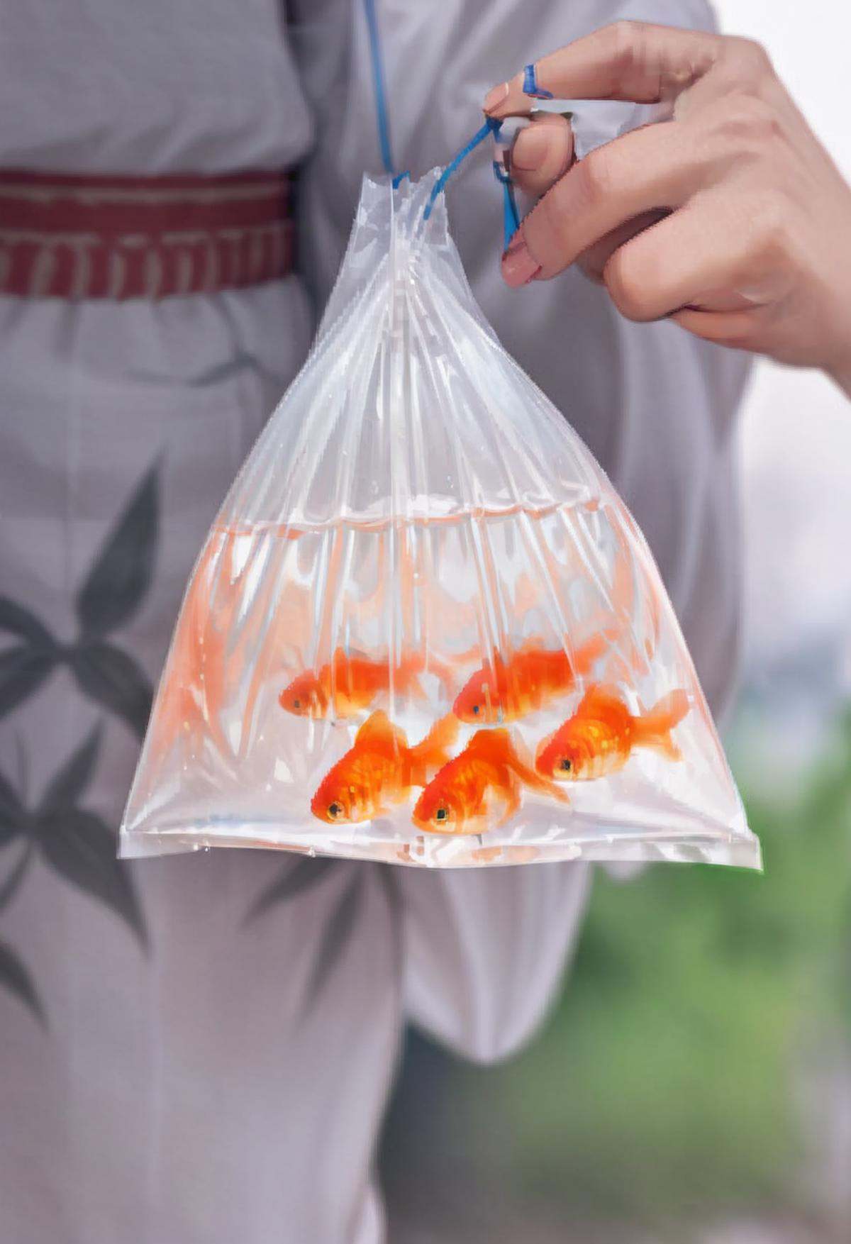 masterpiece, best quality, very aesthetic, absurdres,kingyofukuro, bagged fish, fish, goldfish, bag, holding, fingernails, close-up,  <lora:kingyo_fukuro_SDXL_V1:0.8>