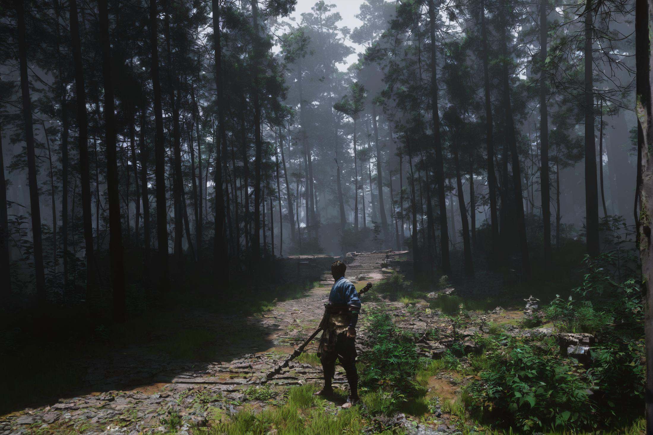 score_9, score_8_up, score_7_up, score_anime, 8k, best quality, masterpiece, (ultra-detailed), <lora:heishenhua-pony-Tanger:0.8>, heishenhua artist style, wukong, luopohou, Commoner, tree, scenery, solo, outdoors, nature, forest, grass