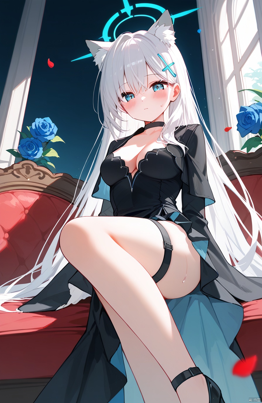   (score_9,score_8_up,score_7_up),1girl,(masterpiece:1.3),( beautiful:1.2),(high quality:1.2),(finely detailed:1.2),extremely detailed CG unity 8k wallpaper,best quality,a very delicate and beautiful,perfect fingers,(one cute girl at the center:1.2),1girl, solo, long hair, breasts, looking at viewer, blush, bangs, blue eyes, medium breasts, hair ornament, gloves, dress,  animal ears, cleavage, sitting, very long hair, closed mouth, flower, white hair, thighs, sweat, choker, black gloves, black footwear, black dress, high heels, animal ear fluff,  petals, thigh strap, rose, black choker, halo, couch, extra ears, blue flower, holster, blue rose, cross hair ornament, shiroko \(blue archive\),shirokoTerror