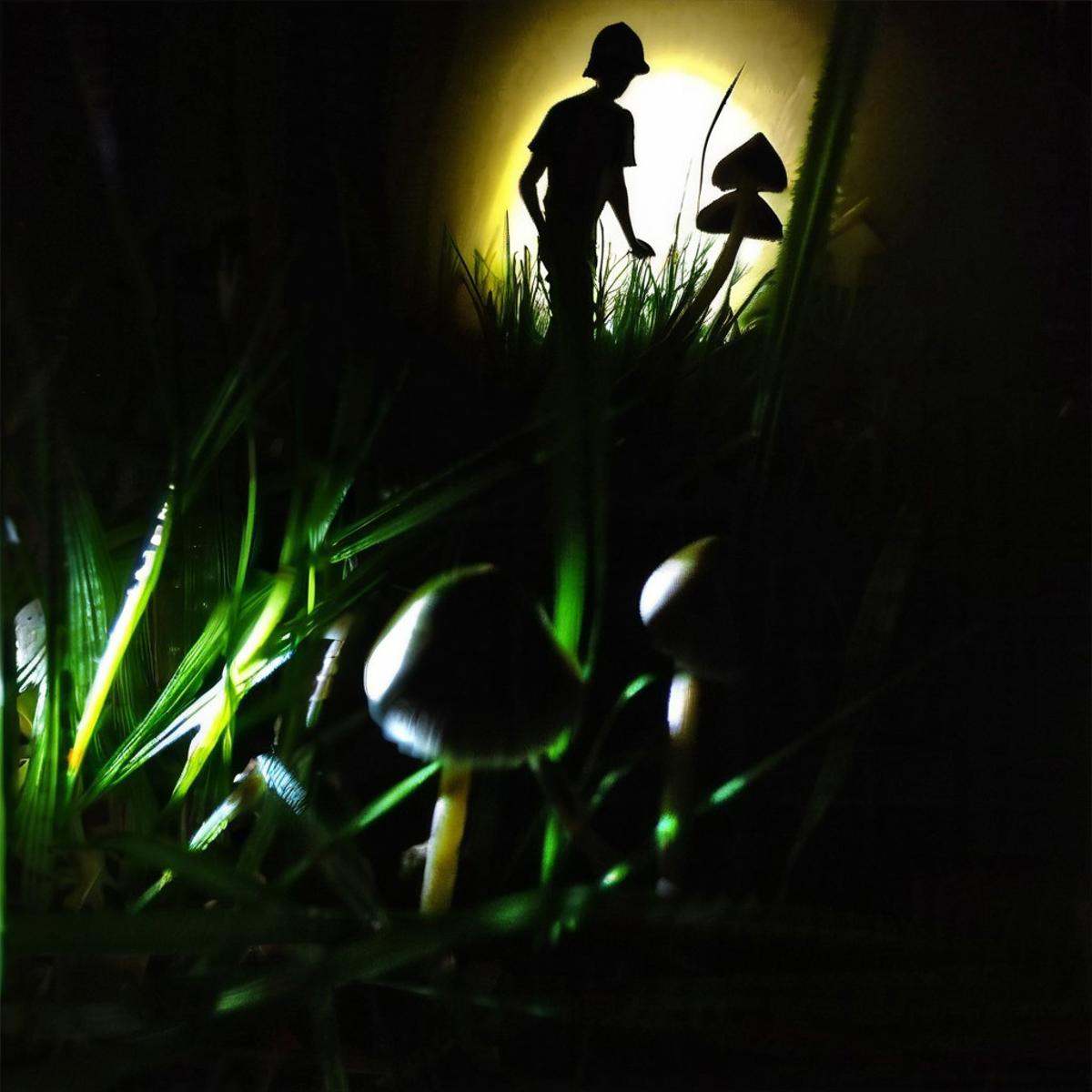 dark-grasshrooms,  a hand picking mushrooms,  grass on Tensor.Art