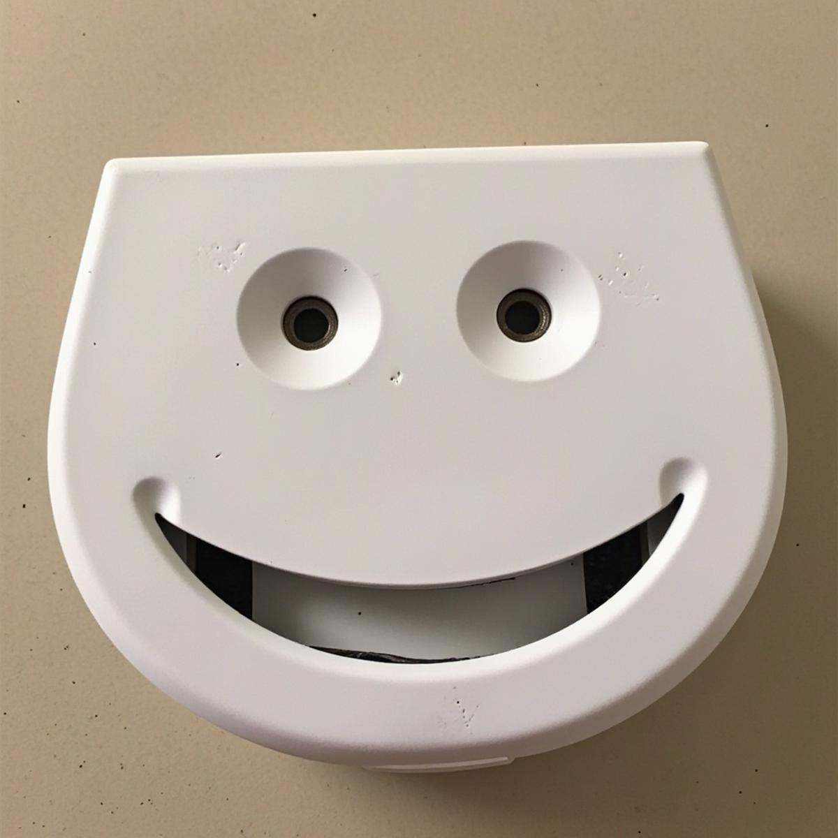 <lora:PareidoliaFlux:1>Pareidolia a Disposable that looks like a face