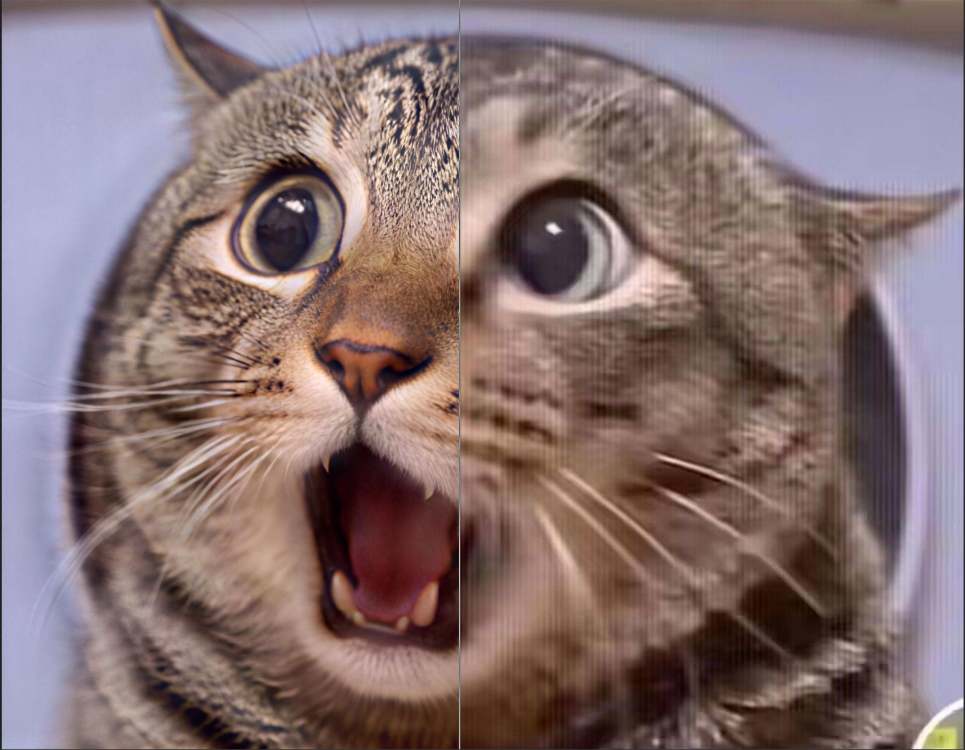 772112764819916593