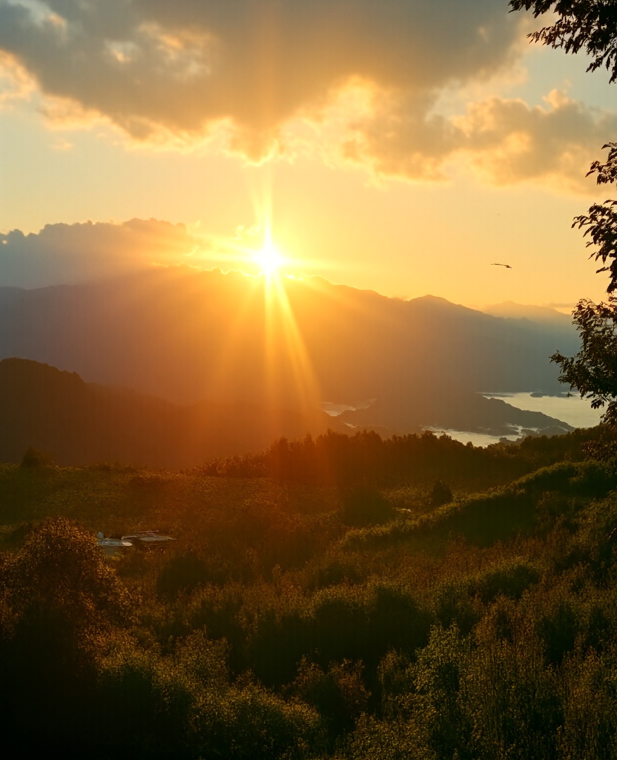a beautiful sunrise in a serene countryside landscape,  a glowing sun rising over rolling hills,  lush green meadows on Te...