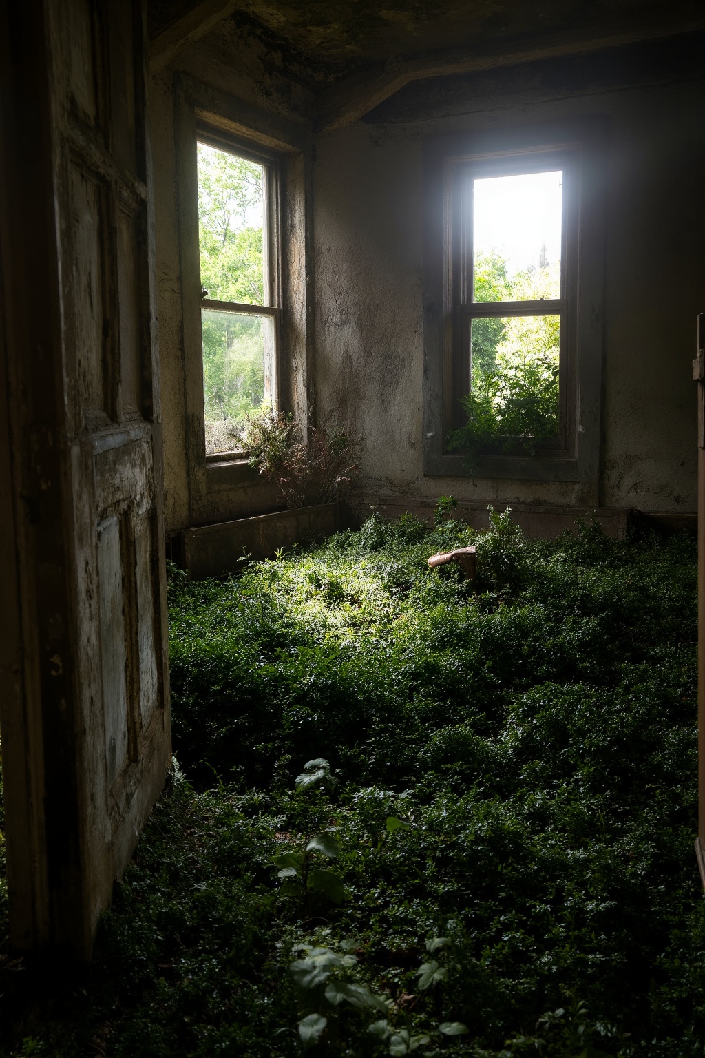 A ruined house,  abandoned and with vegetation inside,  the view is from the view of a window of the house and the sunligh...