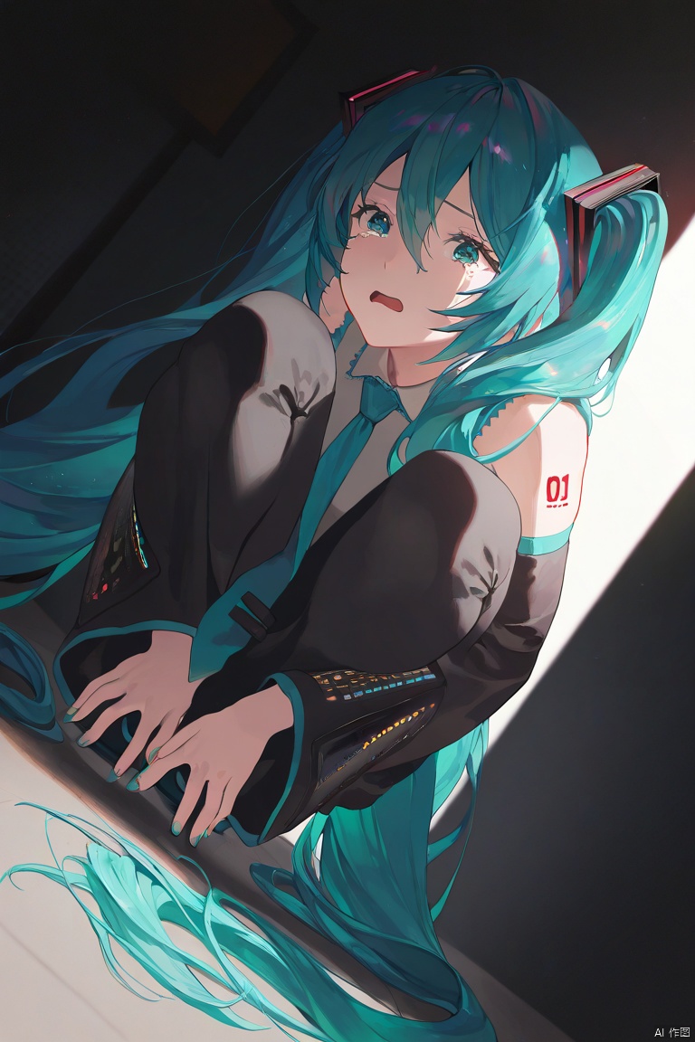 masterpiece,best quality,amazing quality,very aesthetic,absurdres,newest,impactful picture,offcial art,movie perspective,
(aos:0.5),(fajyobore:0.5),(chiaroscuro:0.5),
dutch angle,Hatsune Miku,darkness,squatting in the corner,put your hands on your feet,poor,criin,wipe the tears,